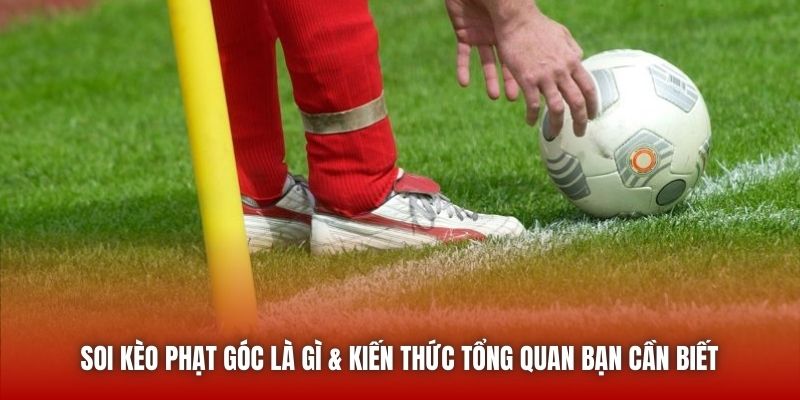Soi kèo phạt góc là gì & kiến thức tổng quan bạn cần biết