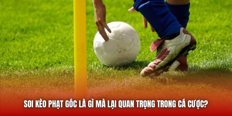 Soi Kèo Phạt Góc Là Gì Mà Lại Quan Trọng Trong Cá Cược?
